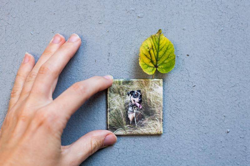 Happy Snaps - Customisable Fridge Magnets